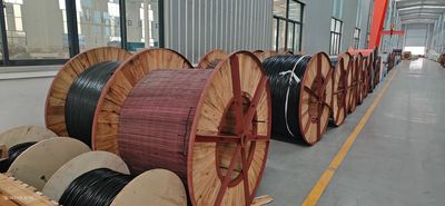 Shandong Jinyu Cable Co., Ltd. 제조업체의 생산 라인